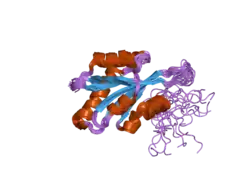 1tmw: Solution structure of Human Coactosin Like Protein D123N