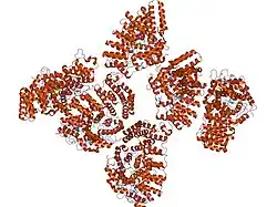 1tnb: Rat Protein Geranylgeranyltransferase Type-I Complexed with a GGPP analog and a substrate KKSKTKCVIF Peptide Derived from TC21