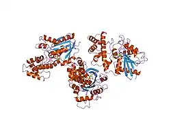 1tnd: THE 2.2 ANGSTROMS CRYSTAL STRUCTURE OF TRANSDUCIN-ALPHA COMPLEXED WITH GTP GAMMA S