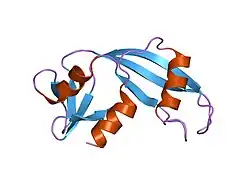 1un3: CRYSTAL STRUCTURE OF HUMAN ANGIOGENIN VARIANT T44D