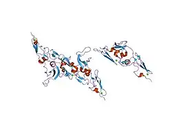 1uzj: INTEGRIN BINDING CBEGF22-TB4-CBEGF33 FRAGMENT OF HUMAN FIBRILLIN-1, HOLO FORM.