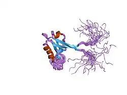 1v5q: Solution Structure of the PDZ Domain from Mouse Glutamate Receptor Interacting Protein 1A-L (GRIP1) Homolog