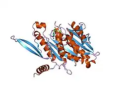 1v8k: The Crystal Structure of the Minimal Functional Domain of the Microtubule Destabilizer KIF2C Complexed with Mg-AMPPNP