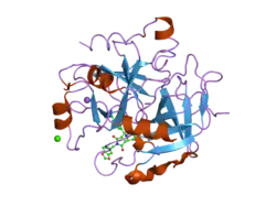 1vzq: COMPLEX OF THROMBIN WITH DESIGNED INHIBITOR 7165