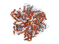 1w0k: BERYLLIUM FLUORIDE INHIBITED BOVINE F1-ATPASE