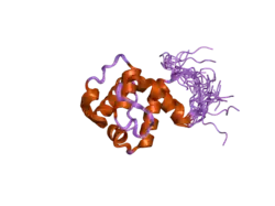 1wyl: Solution structure of the CH domain of human NEDD9 interacting protein with calponin homology and LIM domains