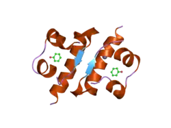 1xw7: Diabetes-Associated Mutations in Human Insulin: Crystal Structure and Photo-Cross-Linking Studies of A-Chain Variant Insulin Wakayama