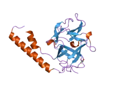 1xzz: Crystal structure of the ligand binding suppressor domain of type 1 inositol 1,4,5-trisphosphate receptor