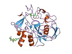 1y1f: human formylglycine generating enzyme with cysteine sulfenic acid