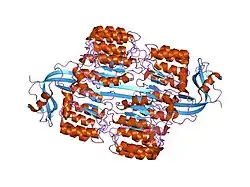 1z7x: X-ray structure of human ribonuclease inhibitor complexed with ribonuclease I