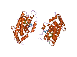 1zdt: The Crystal Structure of Human Steroidogenic Factor-1