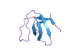1zlm: Crystal structure of the SH3 domain of human osteoclast stimulating factor