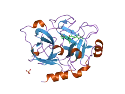 1zpb: Crystal Structure of the Catalytic Domain of Coagulation Factor XI in Complex with 4-Methyl-pentanoic acid {1-[4-guanidino-1-(thiazole-2-carbonyl)-butylcarbamoyl]-2-methyl-propyl}-amide