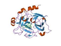 1zsl: Factor XI complexed with a pyrimidinone inhibitor