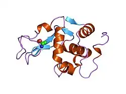 208l: MUTANT HUMAN LYSOZYME C77A