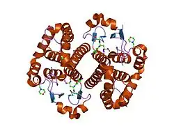 2a2s: Crystal Structure of Human Glutathione Transferase in complex with S-nitrosoglutathione in the absence of reducing agent