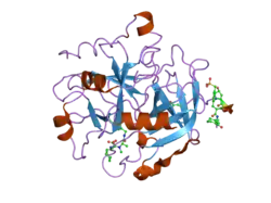 2a2x: Orally Active Thrombin Inhibitors in Complex with Thrombin Inh12