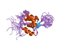 2a3s: Solution structure and Dynamics of DNA-Binding Domain of Myocyte Nuclear Factor
