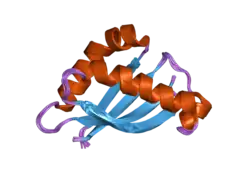 2acm: Solution structure of the SEA domain of human mucin 1 (MUC1)