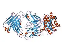 2adf: Crystal Structure and Paratope Determination of 82D6A3, an Antithrombotic Antibody Directed Against the von Willebrand factor A3-Domain
