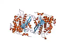 2afs: Crystal structure of the genetic mutant R54W of human glutaminyl cyclase