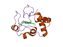 2b4z: Crystal structure of cytochrome C from bovine heart at 1.5 A resolution.