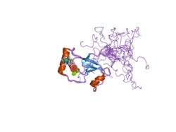 2b6f: Solution structure of human sulfiredoxin (SRX)