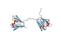 2bb2: X-RAY ANALYSIS OF BETA B2-CRYSTALLIN AND EVOLUTION OF OLIGOMERIC LENS PROTEINS