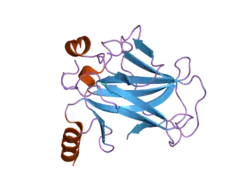 2biq: HUMAN P53 CORE DOMAIN MUTANT T123A-M133L-H168R-V203A-N239Y-R249S-N268D