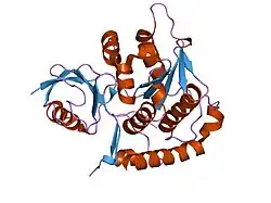 2bkr: NEDD8 NEDP1 COMPLEX