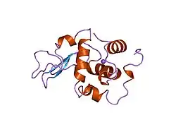 2bqo: CONTRIBUTION OF HYDROPHOBIC EFFECT TO THE CONFORMATIONAL STABILITY OF HUMAN LYSOZYME