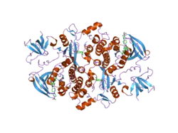 2c0o: SRC FAMILY KINASE HCK WITH BOUND INHIBITOR A-770041