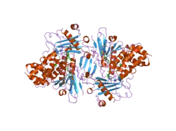 2c4c: CRYSTAL STRUCTURE OF THE NADPH-TREATED MONOOXYGENASE DOMAIN OF MICAL