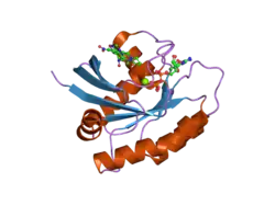 2ce2: CRYSTAL STRUCTURE ANALYSIS OF A FLUORESCENT FORM OF H-RAS P21 IN COMPLEX WITH GDP