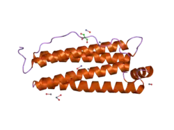 2cih: RECOMBINANT HUMAN H FERRITIN, K86Q AND E27D MUTANT, SOAKED WITH ZN