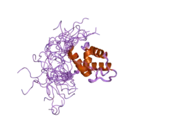 2cq8: Solution structure of RSGI RUH-033, a pp-binding domain of 10-FTHFDH from human cDNA