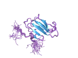 2cr0: Solution structure of nuclear move domain of nuclear distribution gene C