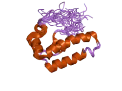 2ctr: Solution structure of J-domain from human DnaJ subfamily B member 9