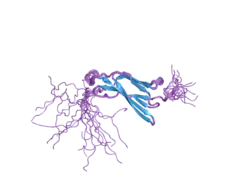 2dbj: Solution structures of the fn3 domain of human Proto-oncogene tyrosine-protein kinase MER precursor