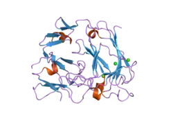 2ddu: Crystal structure of the third repeat domain of reelin