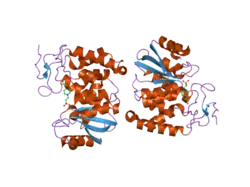 2ef1: Crystal structure of the extracellular domain of human CD38