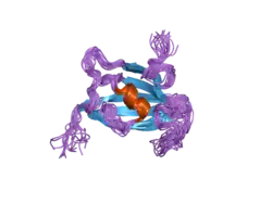 2f2d: Solution structure of the FK506-binding domain of human FKBP38