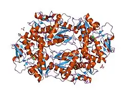 2f36: Crystal Structure of the GluR5 Ligand Binding Core Dimer with Glutamate At 2.1 Angstroms Resolution