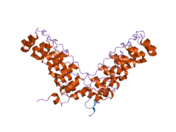 2f8y: Crystal structure of human Notch1 ankyrin repeats to 1.55A resolution.