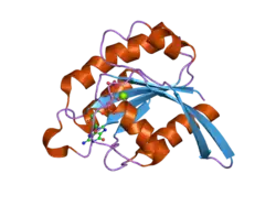 2fe4: The crystal structure of human neuronal Rab6B in its inactive GDP-bound form