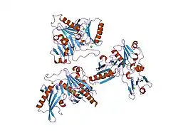 2fh3: C-terminal half of gelsolin soaked in low calcium at pH 8
