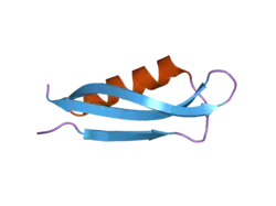 2fjz: Structure of the Alzheimer's Amyloid Precursor Protein (APP) copper binding domain (residues 133 to 189) in 'small unit cell' form, metal-free