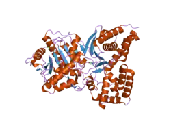 2fy3: Structures of ligand bound human choline acetyltransferase provides insight into regulation of acetylcholine synthesis