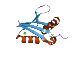 2g4s: Anomalous substructure of NBR1PB1