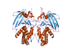 2g59: Crystal Structure of the Catalytic Domain of Protein Tyrosine Phosphatase from Homo sapiens